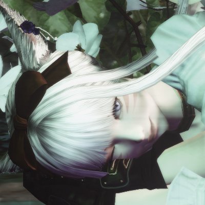 fenrirr_ff14's profile picture. スパムです