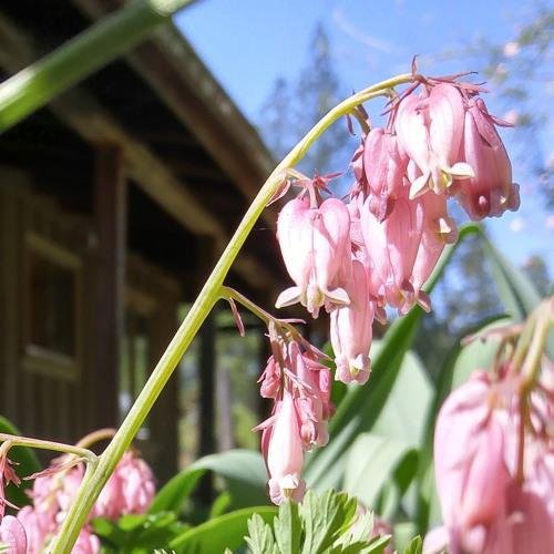 AdrianSIXtyfo's profile picture. Leave here the way we came with nothing to lose