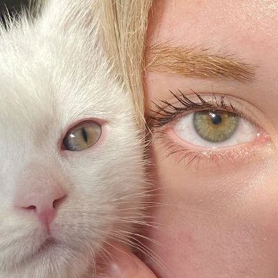 lavinbluee's profile picture. 