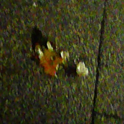 natu_end_world's profile picture. 目を閉じれば