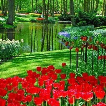 brandymac37's profile picture. Centrist, REAL ESTATE COACH/CONSULTING, Acqs/Dispo/Novations, CashApp: $brandymac41, Mom/Grandma, Politics, Uniparty sux, CHRIST IS KING!!!