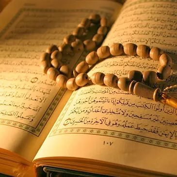 Dailyremin67012's profile picture. we came to world for a reason to protect our islam insha allah one day we will rule our this world .. البلوشي 🌹🇰🇼🇮🇷