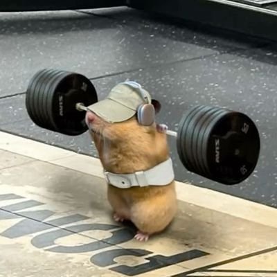 Lucasescorpiao's profile picture. °•⛧•°