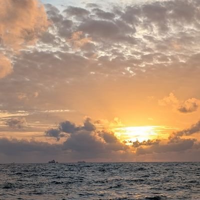 Azy_Taku's profile picture. Yikes