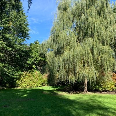 GK24GK24's profile picture. 