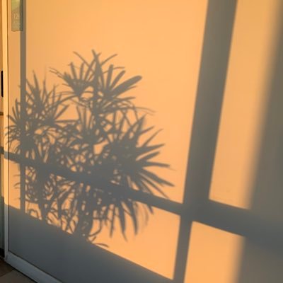 maaakaaa123's profile picture. #บกพพ #TleFirstone #Firstone @firstone_wnk