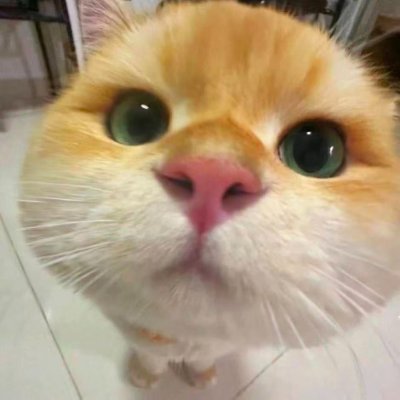 OoGay5059's profile picture. #互粉#互fo#100%follow back 24小时内必回关