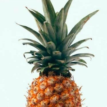 Mr_Dominic2's profile picture. Follow me for an instant follow back