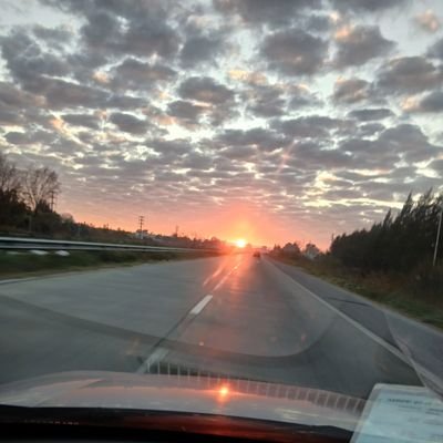 diegovonpo's profile picture. 