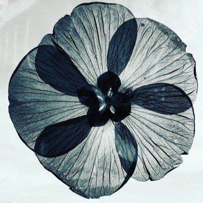 LynneMcbri8140's profile picture. 👩GenXMom raising a GenZBoy🧑Obss’d with Titanic🛳️ Murder Docs🔪 Dino’s 🦖 Crash Investigations ✈️ Crochet 🧶             🐈‍⬛LadyCat&LittleMissy🐈 Sunsets 🌅