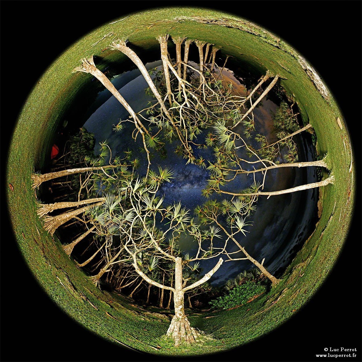 Ashoor_mahdi's profile picture. And I'll never get too old to get around