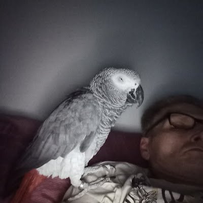 FrankHagen1234's profile picture. 