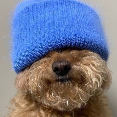 Marti141216's profile picture. Follow and turn on my post 📃 notifications 🔔 for more followers 🌬 @Marti141216