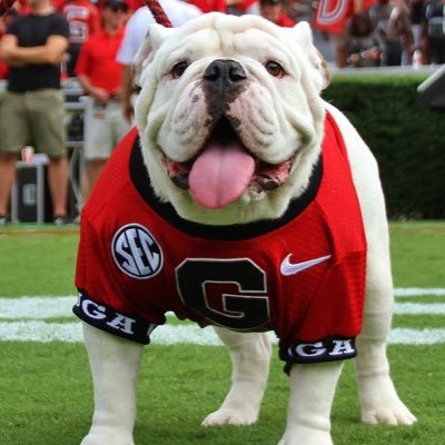 doodadawg1's profile picture. Happily married to Leslie, 🐶 dad to Archie & Mr Briggs, UGA Alum, ❤️⛳️, @bbbc_athens 🐶🎗💖, Hirschbach Motor Lines 🚛🇺🇸, Them Dawgs Is Hell 🐶🏈🏆