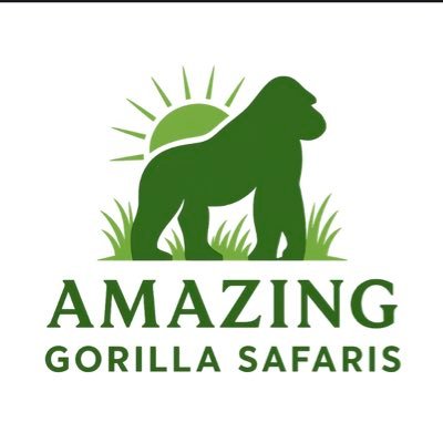 jonah267m's profile picture. BELIEVE