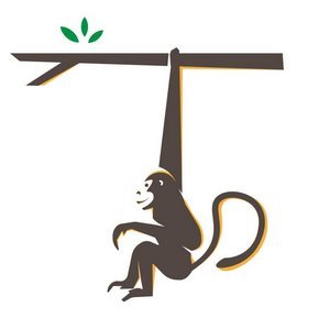 xtremeintro's profile picture. Humour, Geopolital observer, Art Lover, Tech Savvy, Sports enthusiast