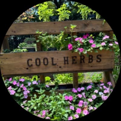 icejet_Momiji_'s profile picture. 🌷