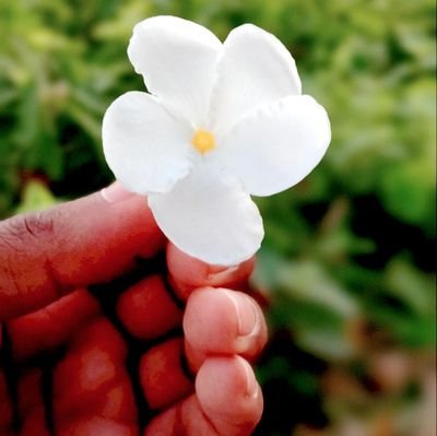 Shuvo2031's profile picture. 