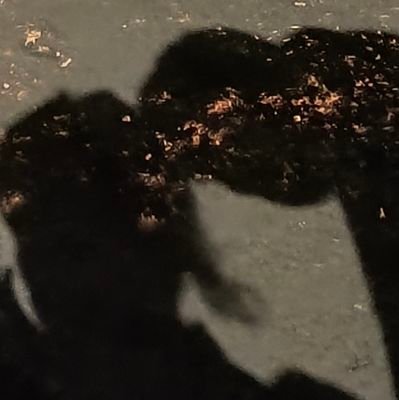 acharya_krk's profile picture. 