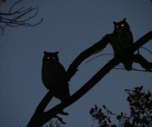 jprg89's profile picture. Show me what you are made of