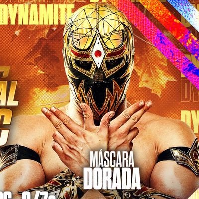 bourei_bourei's profile picture. AEW│CMLL｜MLW｜MLP│
I want a friend who loves professional wrestling.
アイコンは気分でコロコロ変えてます