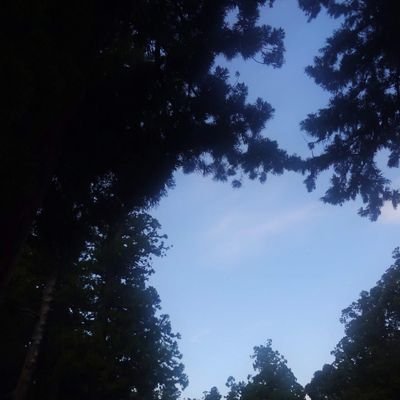 cem7pdenykK's profile picture. 閲覧
韻💎