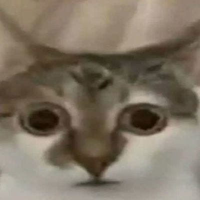 _penguin_x_'s profile picture. 