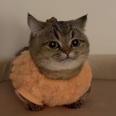 v333iw's profile picture. 