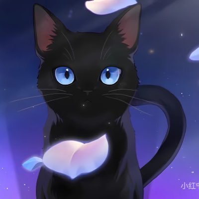 jin97649's profile picture. 