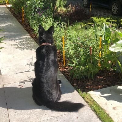 Liberal080706's profile picture. LLA💜
Co-conductor @avemillerstream 🦁
Me gusta el análisis legislativo y la rosca🤓 argentino viendo el camino de una
Argentina liberal y próspera🇦🇷