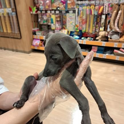 5963tomo5's profile picture. 