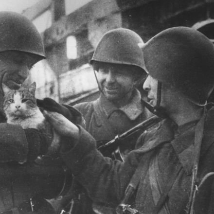 ghlsaudio's profile picture. pha-q