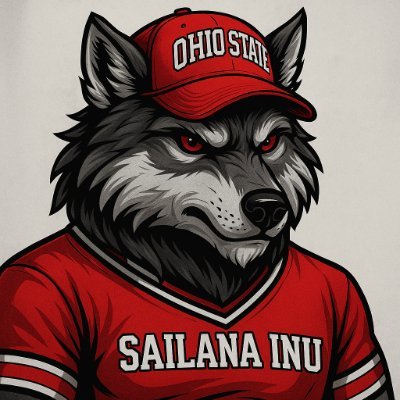 11BuckeyeCrypto's profile picture. Victim's Advocate, House flipper, Meme coin investor, Father of 4. #SAILANA Wolfpack
