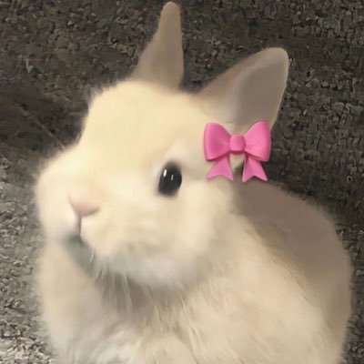 junikajeje's profile picture. 카리나 유지민 (411%) 🎀🐈‍⬛
ʕっ•ᴥ•ʔっเงินหมุน เงินทุนʕっ•ᴥ•ʔっ
  •⩊•𓍯 ตอบไลน์ไวกว่าꔛ💨
      ɪᴅ  @575showt มี @ ด้วยน๊างับ 𓇼