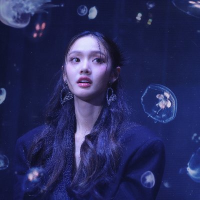 mheeeeamor's profile picture. 🐨💛