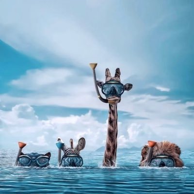 huizhan24407635's profile picture. 