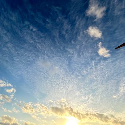 KabutomushiTom's profile picture. 私のリプ欄ではAI検索した結果を根拠や情報として書かないでください。そこにリプ返しはしません。千のAIに千のAIによって多くのエネルギーが消費されています。