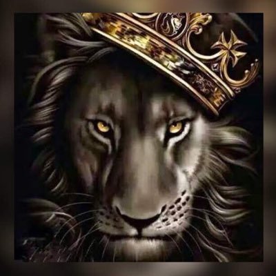 THEONE1D1's profile picture. Fc Barcelona💙❤️. Messi Fan. Football Fan.