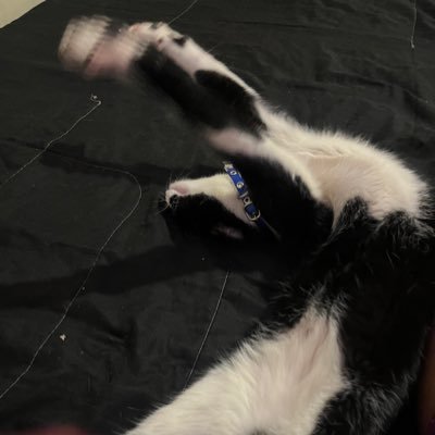 dietcoke109's profile picture. quiero tuitear en paz