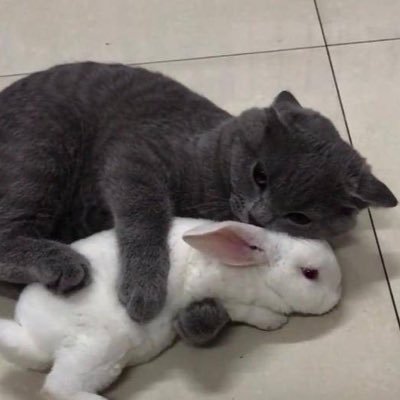 memynov's profile picture. 쇼트트랙♡나♡탯한