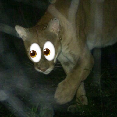 MINTY0RE0's profile picture. 