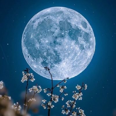 MaherTaboubi's profile picture. 