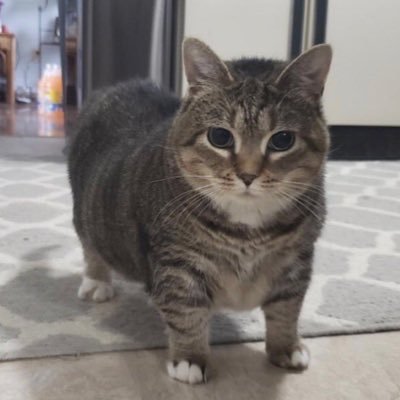 Fng1Popn's profile picture. 