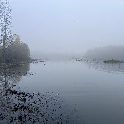 838_727's profile picture. 