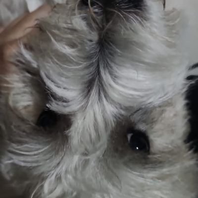 1rechs7's profile picture. ....