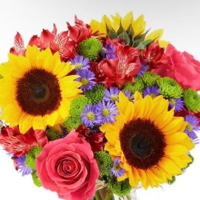 MintyMushroomm's profile picture. 