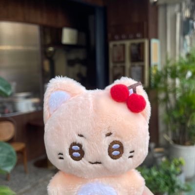 vvheemoto's profile picture. 