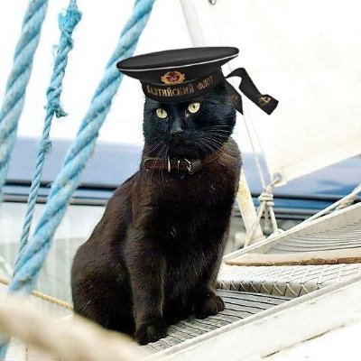 whiskey_sub's profile picture. 