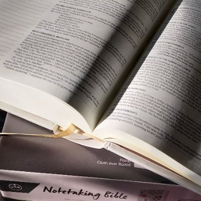 WordsOfHoly's profile picture. Unbiasedly read The Holy Bible and so glad I did!
All Thanks given to Our Heavenly Father!
Proud Texan. Proud American. GOD BLESS