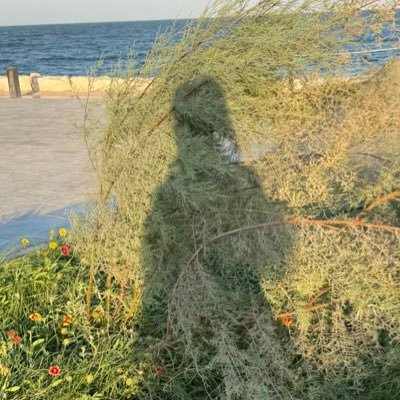 _IIlIIlIlI_'s profile picture. من رحم الرماد خمسمئةَ سنةٍ أُخرى | فينيق أحيانًا —ارسم